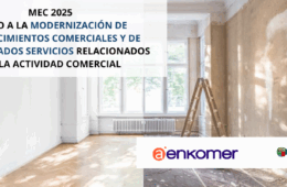 MEC 2025. AYUDAS A LA MODERNIZACIÓN DE ESTABLECIMIENTOS COMERCIALES Y DE DETERMINADOS SERVICIOS RELACIONADOS CON LA ACTIVIDAD COMERCIAL