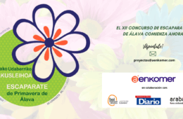 XII. CONCURSO DE ESCAPARATES DE ÁLAVA