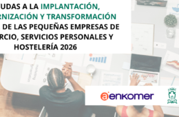 AYUDA DEL AYUNTAMIENTO DE VITORIA AL PEQUEÑO COMERCIO 2026